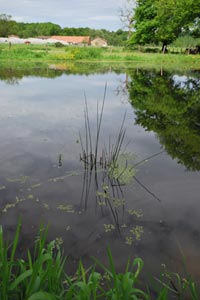 La ferme de l'île de Chaillac