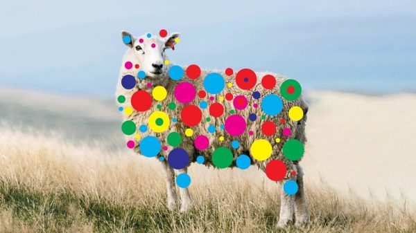 20-ans-visuel-uai-993×558